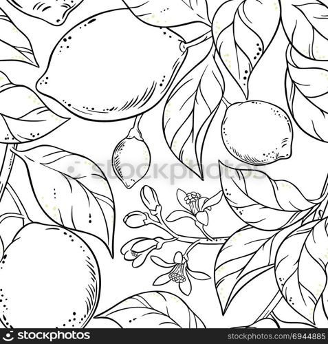 lemon seamless pattern. lemon branches seamless pattern on white background