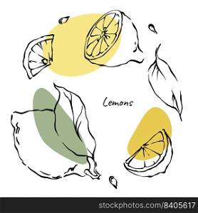 Lemon slices, leaves and seads set of outline contour drawings with yellow and green abstract color spots. Hand drawn vector citrus fruit illustrations collection on white background.