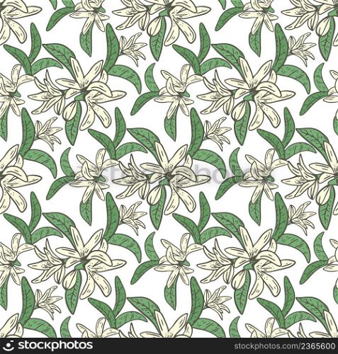 Lemon tree blossom seamless pattern. Background with snowy small white flowers and leaves. Botanical natural template for fabric, paper, wallpaper design vector illustration