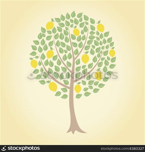 Lemon tree. Tree and yellow lemons on it. A vector illustration