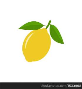 Lemon vector icon illustration isolated on white background