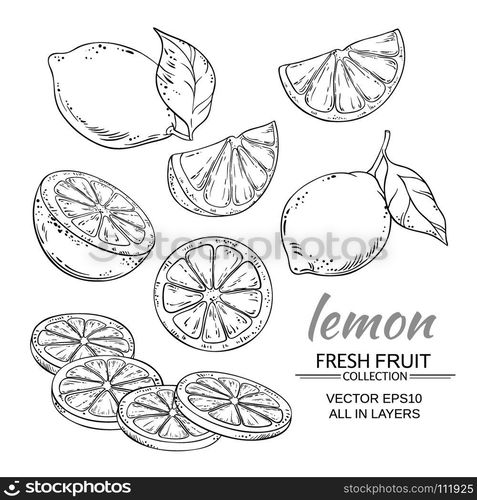 lemon vector set. lemon fruits vector set on white background