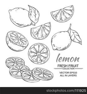 lemon vector set. lemon fruits vector set on white background