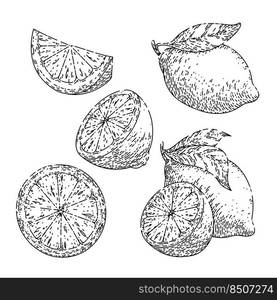 lemon yellow fruit set hand drawn vector. fresh citrus, leaf food, slice cut, green leaves, lemonade lemon yellow fruit sketch. isolated black illustration. lemon yellow fruit set sketch hand drawn vector