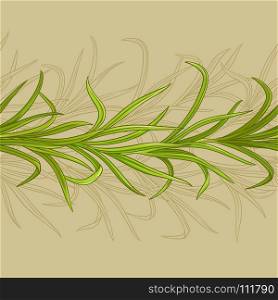 lemongrass vector pattern. lemongrass plant vector pattern on color background