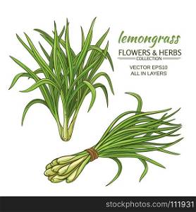 lemongrass vector set. lemongrass plant vector illustration on white background
