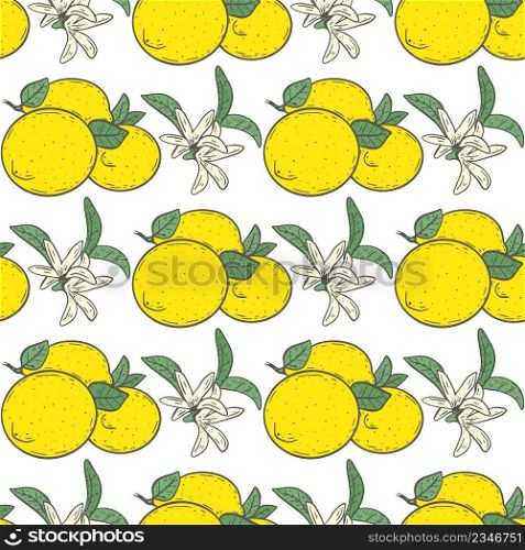Lemons and flowers seamless pattern. Citruses and floral sprigs with leaves background. Fruit composition template for fabric, paper, wallpaper and design vector illustration. Lemons and flowers seamless pattern