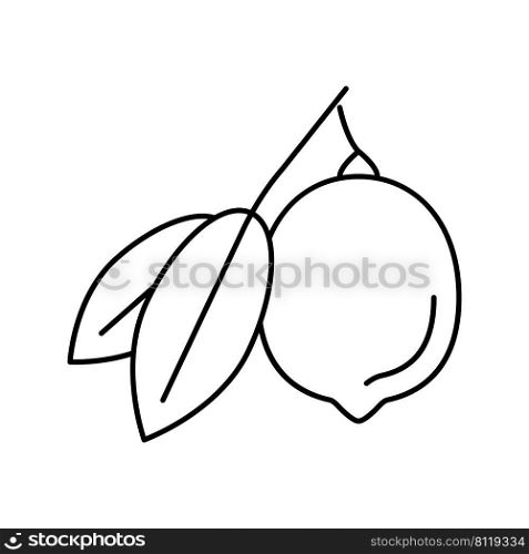 lemons citrus with leaf line icon vector. lemons citrus with leaf sign. isolated contour symbol black illustration. lemons citrus with leaf line icon vector illustration