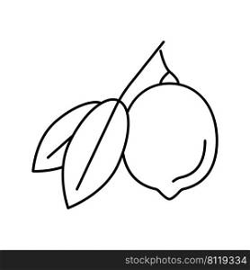 lemons citrus with leaf line icon vector. lemons citrus with leaf sign. isolated contour symbol black illustration. lemons citrus with leaf line icon vector illustration