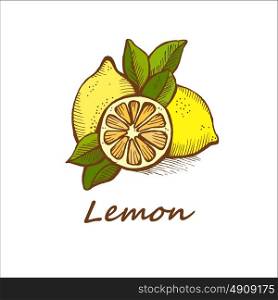 Lemons, hand drawn. Vector illustration.
