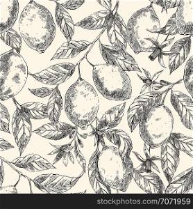 Lemons hand drawn vector seamless pattern. Citrus fruits engraving style crosshatch backdrop. Ink brush, pen drawing. Realistic leaves, flowers background. Botanical wrapping paper, wallpaper design