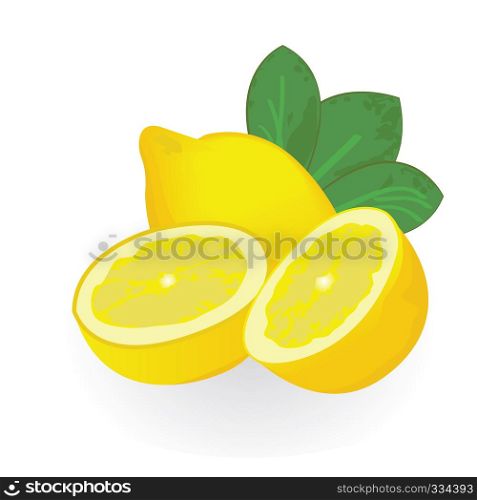 Lemons isolated on a white background vector illustration