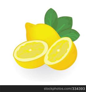 Lemons isolated on a white background vector illustration