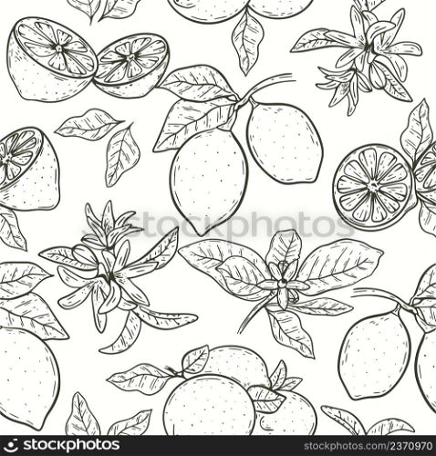 Lemons on branch with leaves and flowers hand engraving seamless pattern. Fruity citrus background sketch. Model black contours fruits for fabric, paper and product design vector illustration. Lemons on branch with leaves and flowers hand engraving seamless pattern