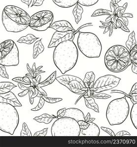Lemons on branch with leaves and flowers hand engraving seamless pattern. Fruity citrus background sketch. Model black contours fruits for fabric, paper and product design vector illustration. Lemons on branch with leaves and flowers hand engraving seamless pattern