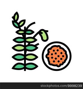 lentils groat color icon vector. lentils groat sign. isolated symbol illustration. lentils groat color icon vector illustration