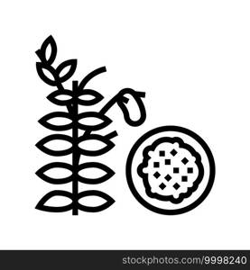 lentils groat line icon vector. lentils groat sign. isolated contour symbol black illustration. lentils groat line icon vector illustration