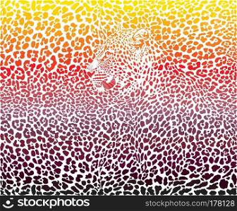 Leopard abstract background