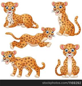 Leopard animal cartoon set collection
