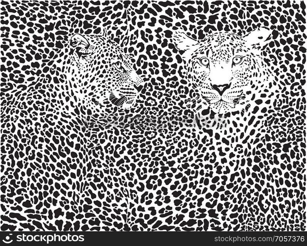 leopard background