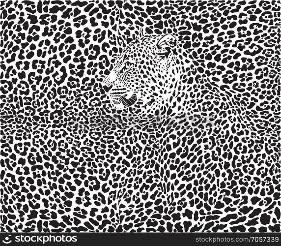 Leopard pattern background