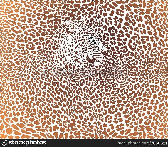 Leopard pattern brown background