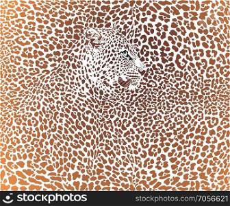 Leopard pattern brown background