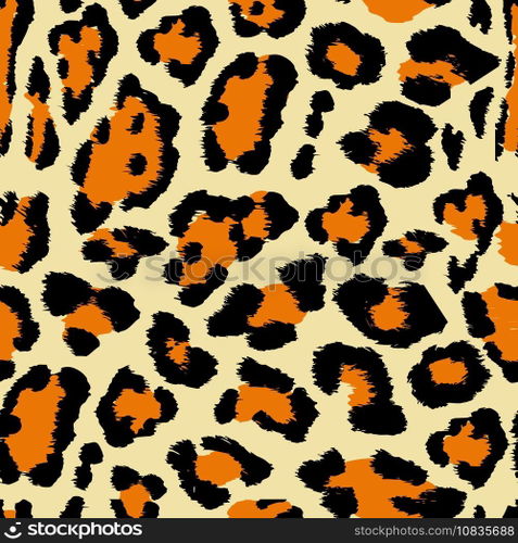 Leopard pattern vector image