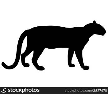 Leopard silhouette