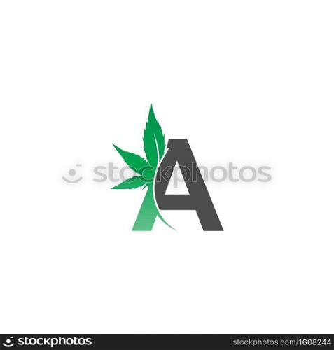 Letter A logo icon with cannabis leaf design vector illustration