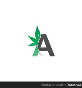Letter A logo icon with cannabis leaf design vector illustration