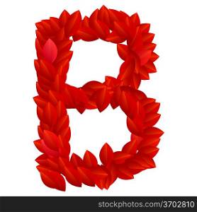 Letter B of red petals alphabet