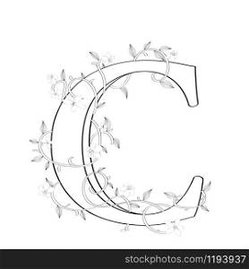 Letter C floral sketch over white background