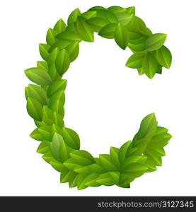 Letter C of green leaves alphabet