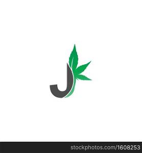 Letter J logo icon with cannabis leaf design vector illustration