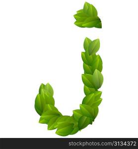 Letter J of green leaves alphabet
