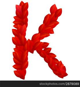 Letter K of red petals alphabet
