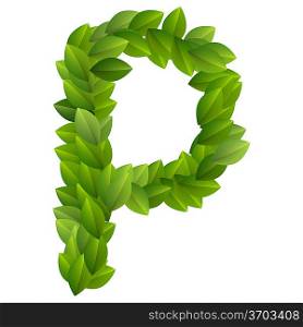 Letter P of green leaves alphabet
