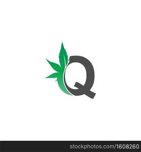 Letter Q logo icon with cannabis leaf design vector illustration