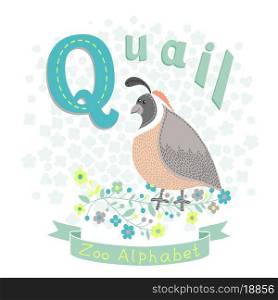 Letter Q - Quail. Alphabet with cute animals. Vector illustration.