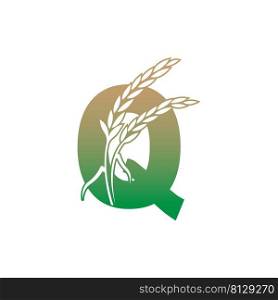 Letter Q with rice plant icon illustration template vector