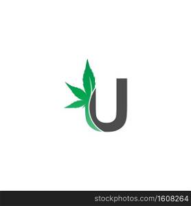 Letter U logo icon with cannabis leaf design vector illustration