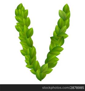 Letter V of green leaves alphabet
