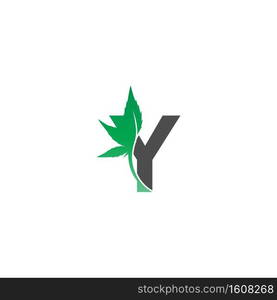 Letter Y logo icon with cannabis leaf design vector illustration