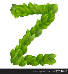 Letter Z of green leaves alphabet