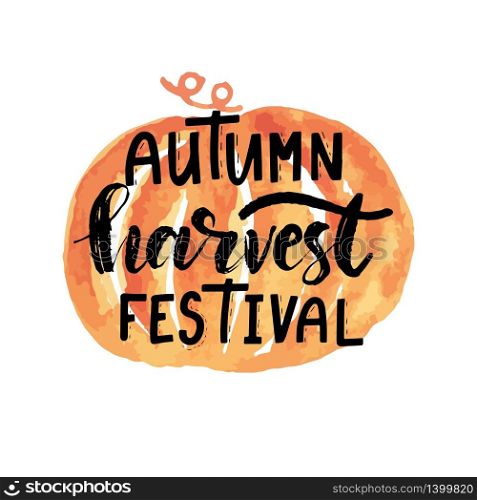 Lettering phrase Autumn Harvest Festival with pumpkin drawing. Modern brush calligraphy. Handwritten vector illustration isolated on white background for cards, posters, banners, logo, tags.. Hand sketched autumn lettering Harvest Festival with pumpkin drawing. Modern brush calligraphy. Handwritten vector illustration isolated on white background for cards, posters, banners, logo, tags.