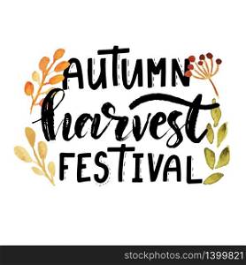 Lettering phrase Autumn Harvest Festival with watercolor leaves and berries drawing. Modern brush calligraphy. Handwritten vector illustration isolated on white background for cards, posters, banners, logo, tags.. Hand sketched autumn lettering Harvest Festival Modern brush calligraphy. Handwritten vector illustration isolated on white background for cards, posters, banners, logo, tags.