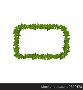 Lianas and ivy green leaves border frame. Vine, hedera or ivy cartoon leaves vector rectangular frame, nature background, jungle climbing plant border. Lianas and ivy green leaves border of frame