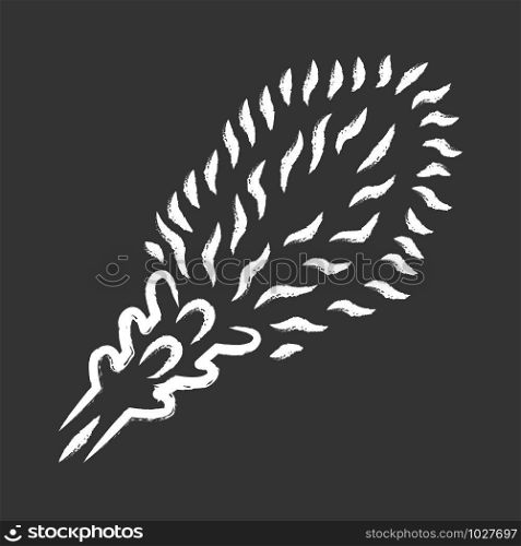 Liatris chalk icon. Blazing star blooming flower. Dwarf gayfeather garden plant. Spicata kobold. Wildflower. Spring blossom. Isolated vector chalkboard illustration
