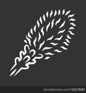 Liatris chalk icon. Blazing star blooming flower. Dwarf gayfeather garden plant. Spicata kobold. Wildflower. Spring blossom. Isolated vector chalkboard illustration